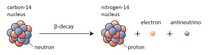 What is Carbon-14 Dating - Radiocarbon Dating - Definition