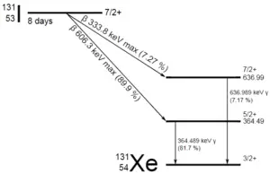 Yodo 131 - esquema de descomposición