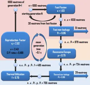 Cycle de vie des neutrons