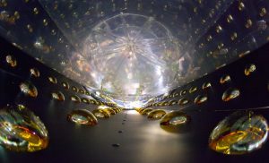 Detector antineutrino