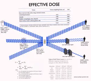 dose eficaz