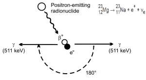 positron annihilation